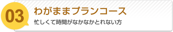 わがままプランコース